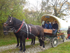 Studienreise Thüringen - Ausflug mit der Pferdekutsche